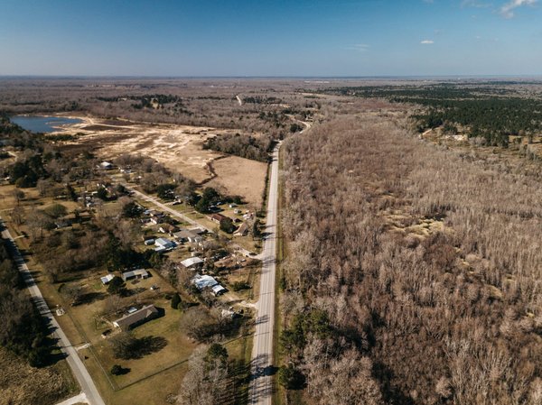 Quelles techniques pour un jardin d'agrumes en pot ?