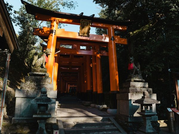 Découvrez l'univers unique de la deco orientale