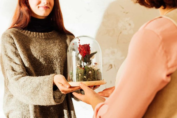 Découvrez la magie de la rose éternelle sous cloche